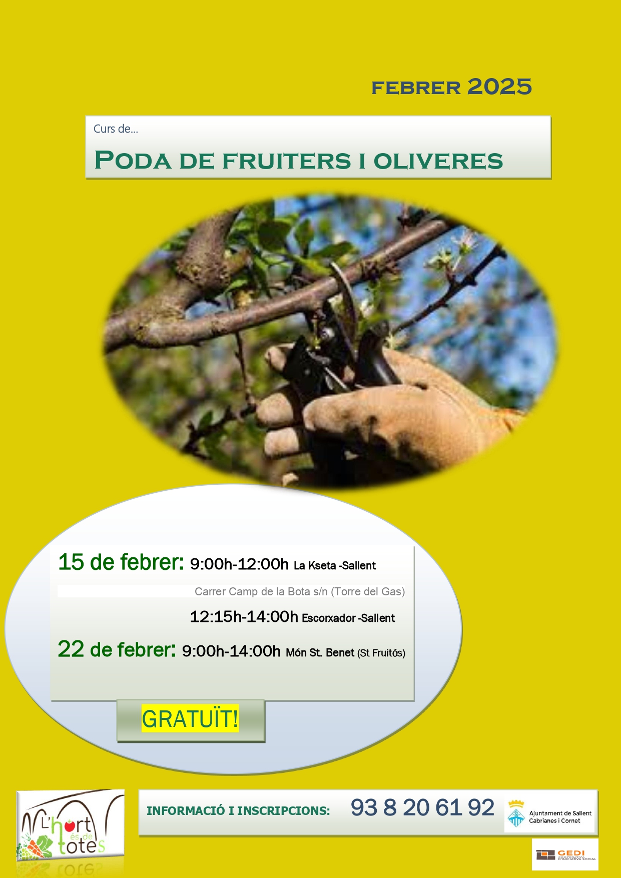 Taller de poda de fruiters i oliveres