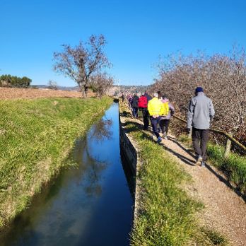 GEOPARC: Itinerari pel bosc de la Sala