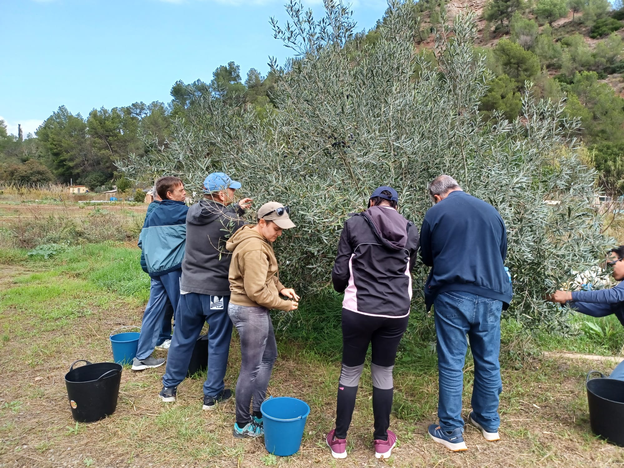 L'Hort és de totes promou activitats pels seus participants