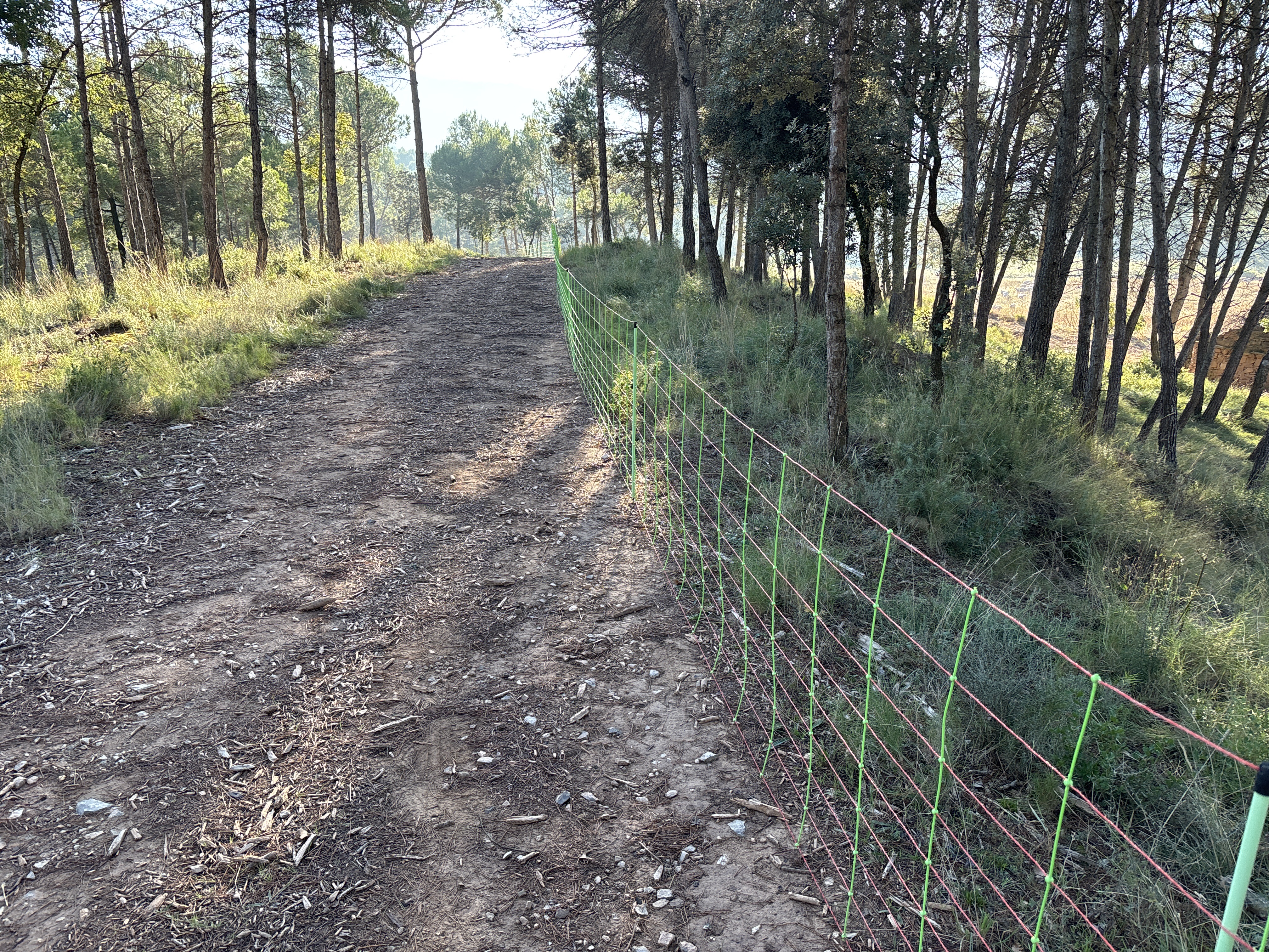 Han començat els treballs per la conservació dels camins del municipi
