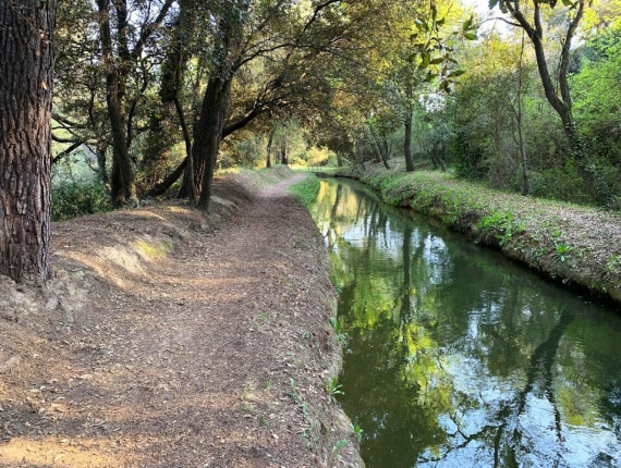 Itinerari de natura del Mas de les Coves