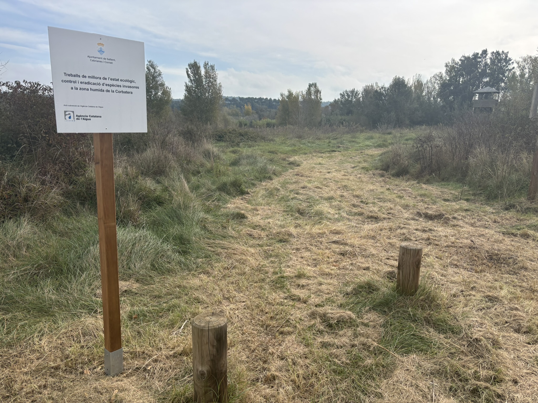 Comencen els treballs de millora de la zona de la Corbatera