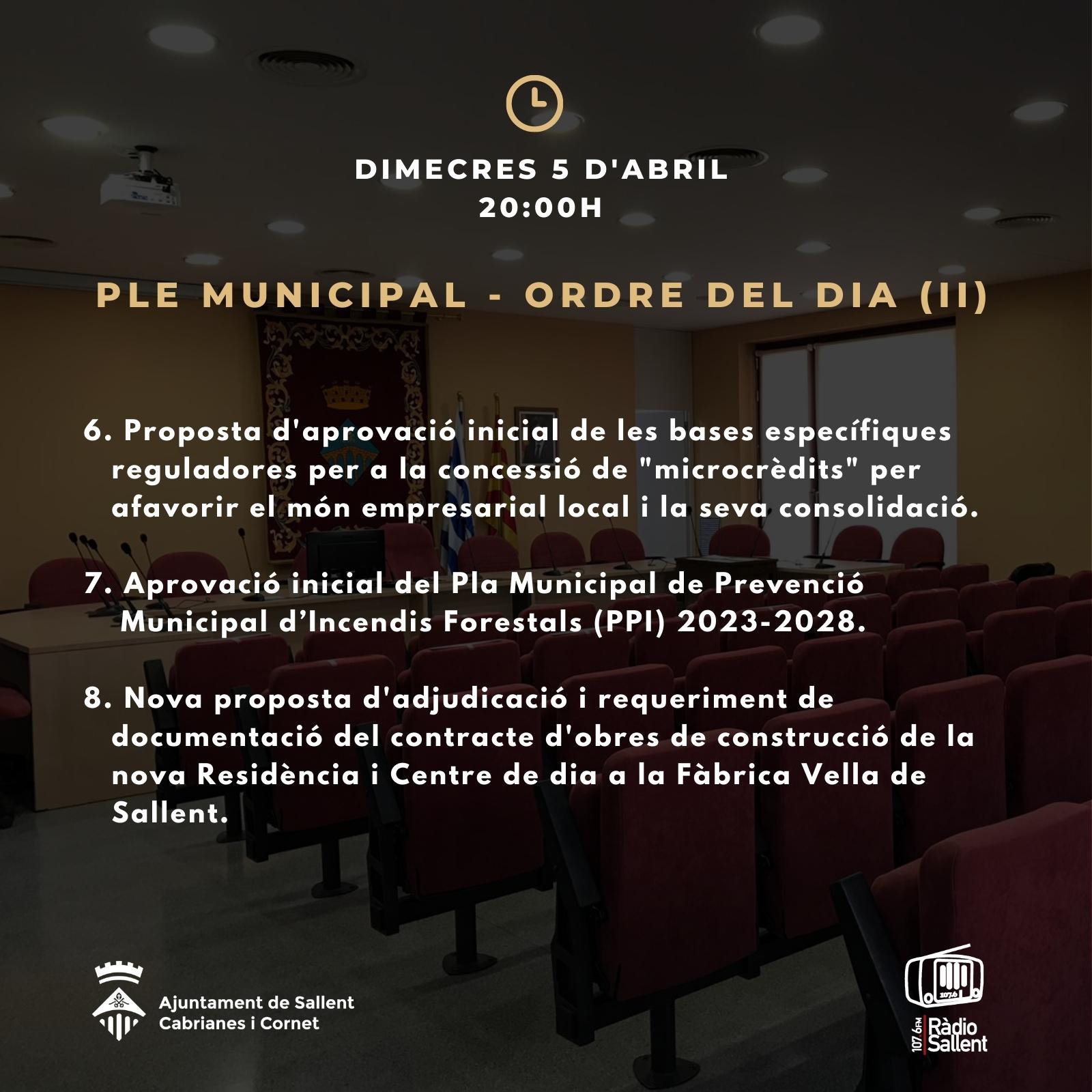 Ordre del dia del Ple Municipal del 5 d'abril de 2023 (pàg. 2)